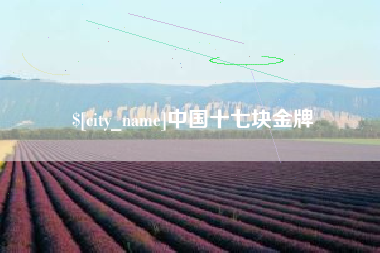 金昌中国十七块金牌