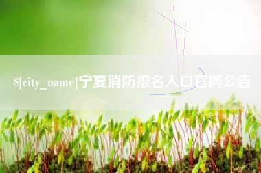 金昌宁夏消防报名入口官网公告