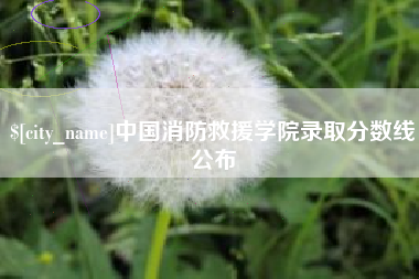 金昌中国消防救援学院录取分数线公布