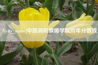 金昌中国消防救援学院历年分数线