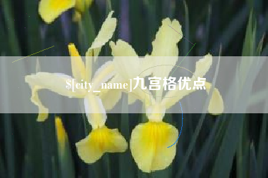 金昌九宫格优点