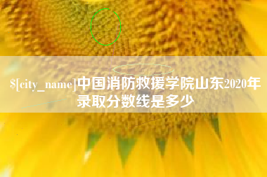金昌中国消防救援学院山东2020年录取分数线是多少