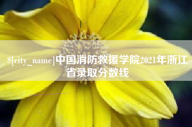 金昌中国消防救援学院2021年浙江省录取分数线