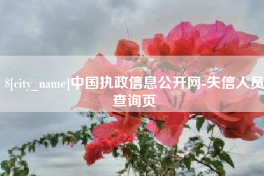 金昌中国执政信息公开网-失信人员查询页