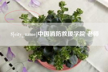 金昌中国消防救援学院 老师
