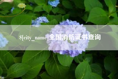 金昌全国消防证书查询