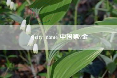 金昌中国第9金