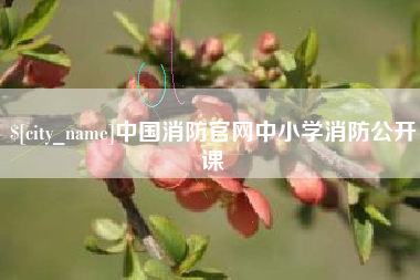 金昌中国消防官网中小学消防公开课