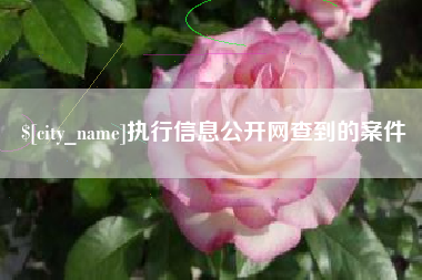 金昌执行信息公开网查到的案件