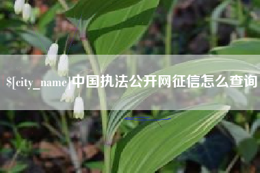 金昌中国执法公开网征信怎么查询