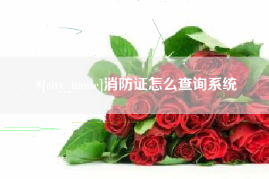 金昌消防证怎么查询系统