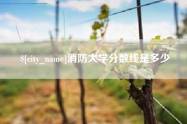 金昌消防大学分数线是多少