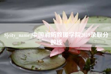 金昌中国消防救援学院2019录取分数线