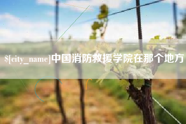 金昌中国消防救援学院在那个地方