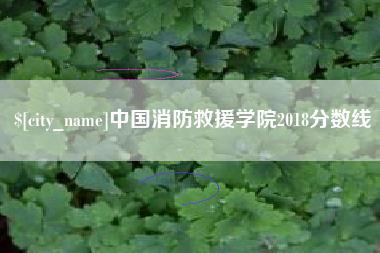 金昌中国消防救援学院2018分数线