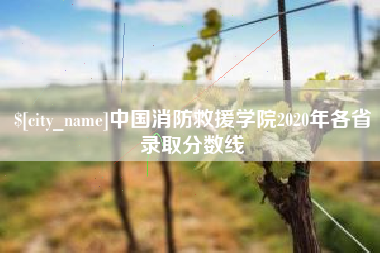 金昌中国消防救援学院2020年各省录取分数线