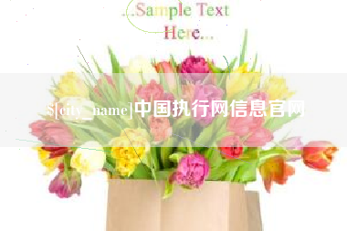 金昌中国执行网信息官网