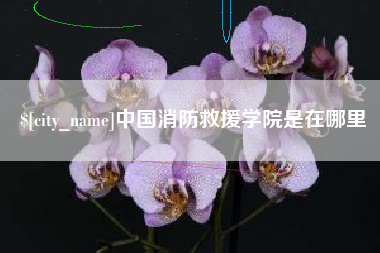金昌中国消防救援学院是在哪里