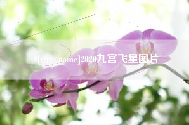 金昌2020九宫飞星图片