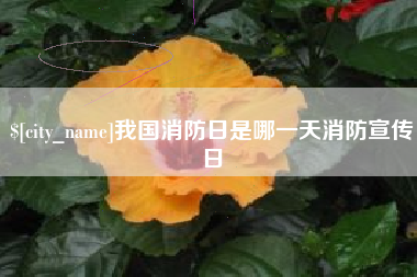 金昌我国消防日是哪一天消防宣传日