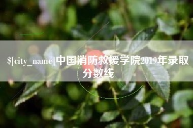 金昌中国消防救援学院2019年录取分数线