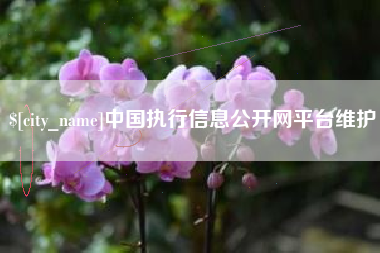 金昌中国执行信息公开网平台维护