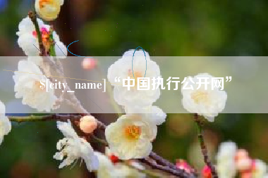 金昌“中国执行公开网”
