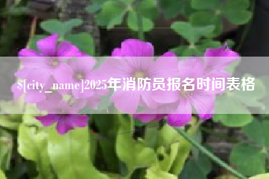 金昌2025年消防员报名时间表格