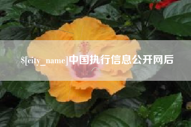 金昌中国执行信息公开网后