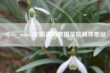 金昌中国消防救援学院具体地址