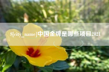 金昌中国金牌是哪些项目2021