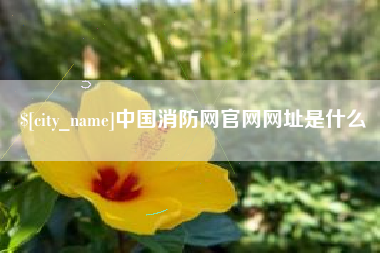 金昌中国消防网官网网址是什么