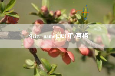 金昌2021年9宫格