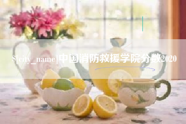 金昌中国消防救援学院分数2020