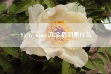 金昌九金指的是什么