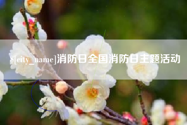 金昌消防日全国消防日主题活动