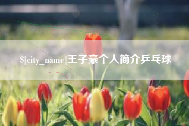 金昌王子豪个人简介乒乓球