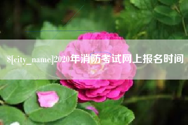 金昌2020年消防考试网上报名时间