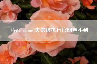 金昌失信被执行官网查不到