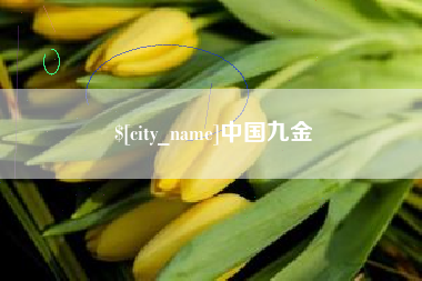 金昌中国九金