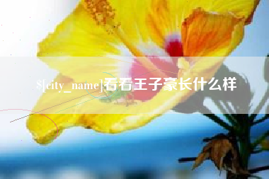 金昌看看王子豪长什么样