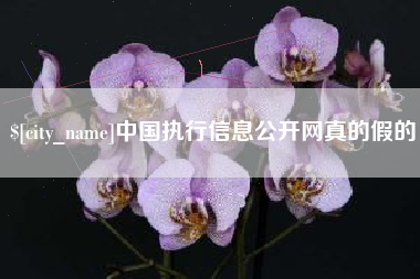 金昌中国执行信息公开网真的假的