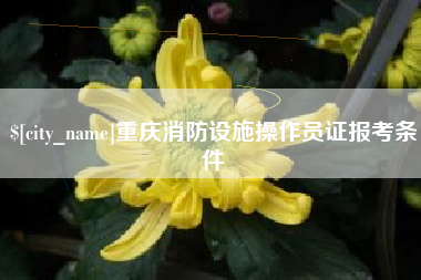 金昌重庆消防设施操作员证报考条件