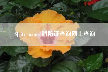 金昌消防证查询网上查询