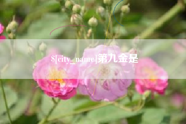 金昌第九金是