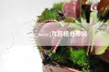 金昌九宫格分布图