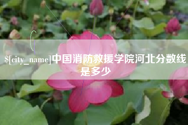 金昌中国消防救援学院河北分数线是多少