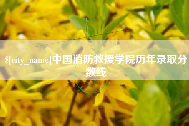 金昌中国消防救援学院历年录取分数线