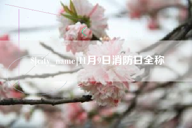 金昌11月9日消防日全称