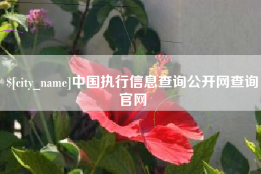 金昌中国执行信息查询公开网查询官网